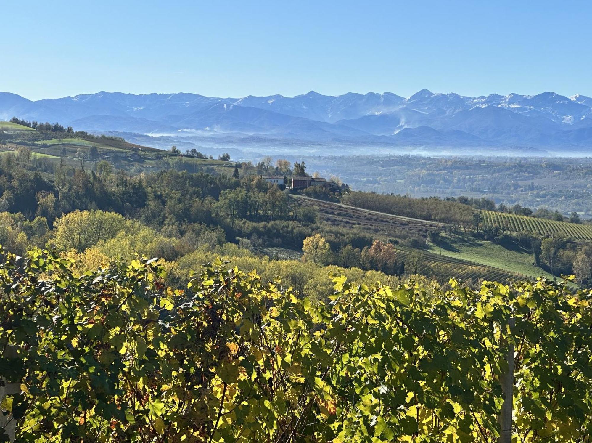 Just Langhe Casa Barolo Villa Новело Екстериор снимка