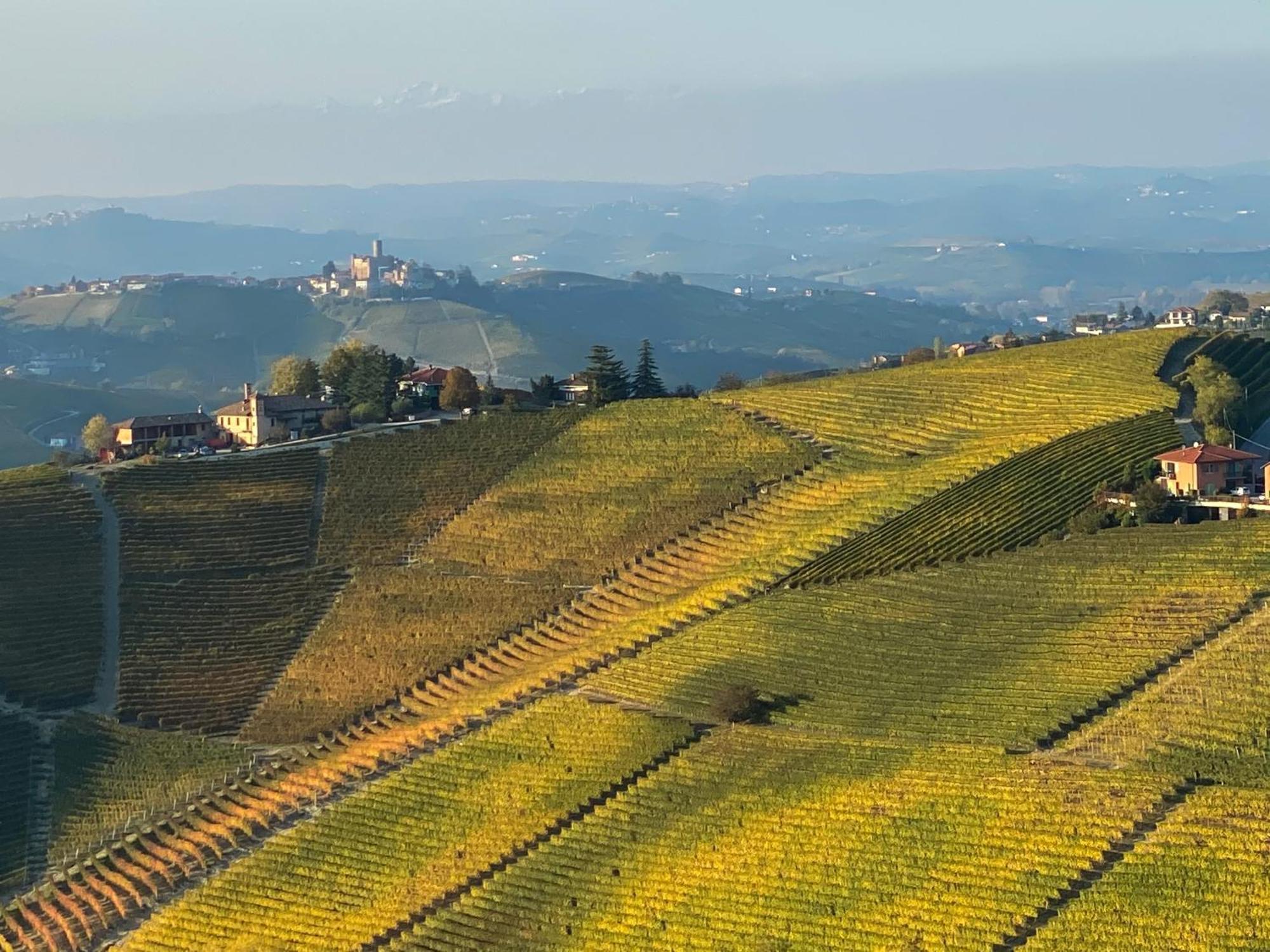 Just Langhe Casa Barolo Villa Новело Екстериор снимка