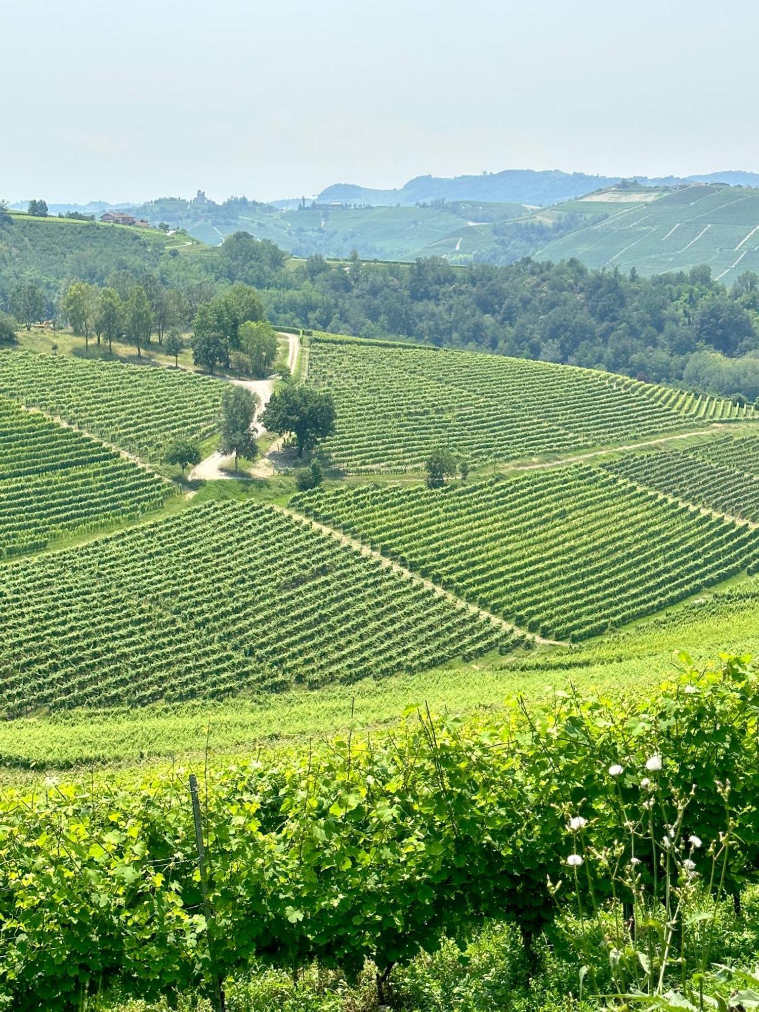 Just Langhe Casa Barolo Villa Новело Екстериор снимка